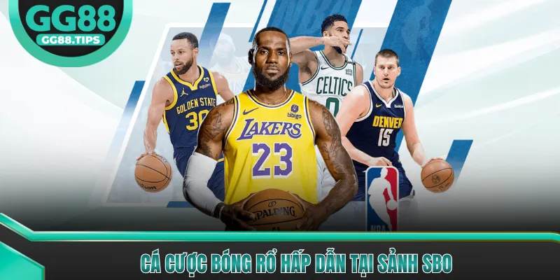 SBO Sports - Cổng Giải Trí Thể Thao Chuyên Nghiệp 2026