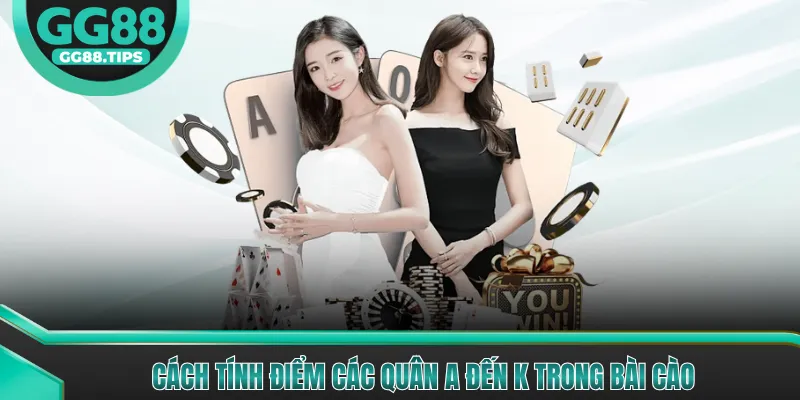 Bài Cào - Bí Quyết Chơi Và Đặt Cược Từ Cao Thủ 2026