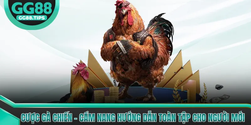 Cược Gà Chiến - Hướng Dẫn Cơ Bản Cho Người Mới 2026