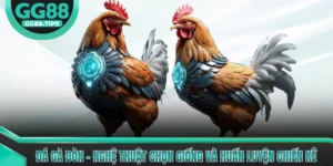 Đá Gà GG88 - Tổng Hợp Kiến Thức Cơ Bản Cho Người Mới 2026