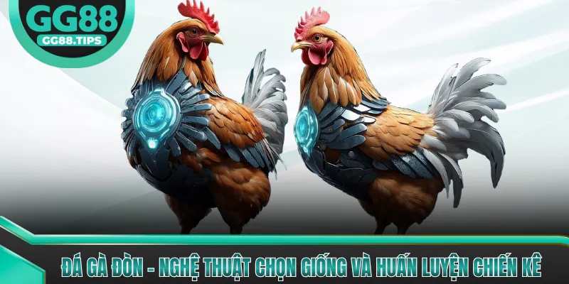 Đá Gà Đòn - Kỹ Thuật Chọn Giống Và Huấn Luyện Gà 2026