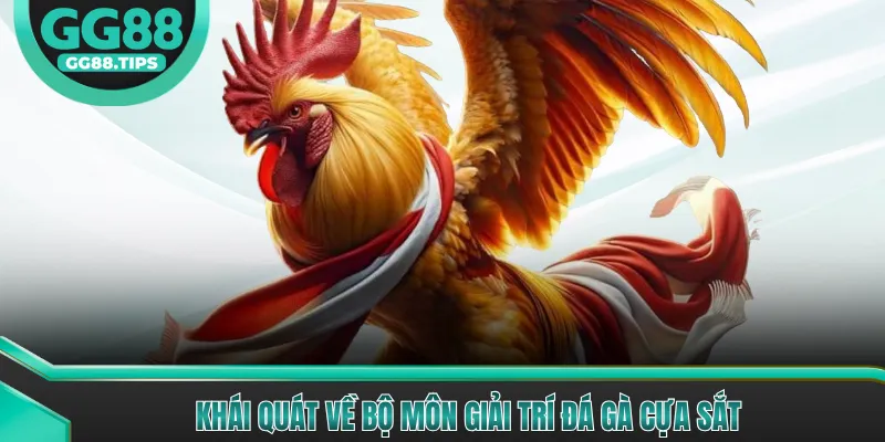Đá Gà Cựa Sắt - Trải Nghiệm Đá Gà Kịch Tính Nhất 2026