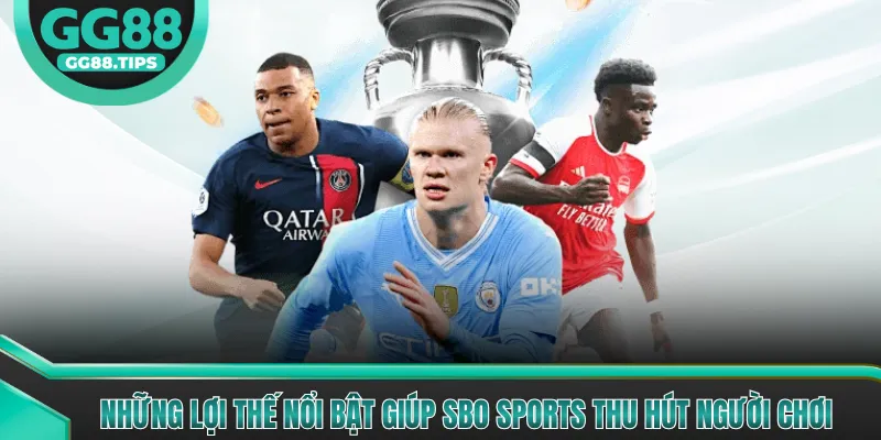 SBO Sports - Cổng Giải Trí Thể Thao Chuyên Nghiệp 2026