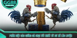 Đá Gà GG88 - Tổng Hợp Kiến Thức Cơ Bản Cho Người Mới 2026