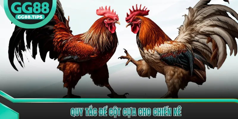Đá Gà Cựa Sắt - Trải Nghiệm Đá Gà Kịch Tính Nhất 2026