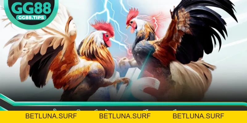 GG88 Club 🎖️ Trang Chủ GG88.COM Chính Thức | Đăng Ký +88K