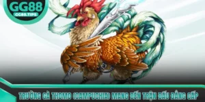 Đá Gà GG88 - Tổng Hợp Kiến Thức Cơ Bản Cho Người Mới 2026